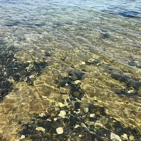 Kotva بيت ضيافة