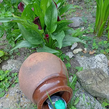 Gasthuis Kotva Lozenets