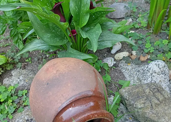 Gasthuis Kotva Lozenets