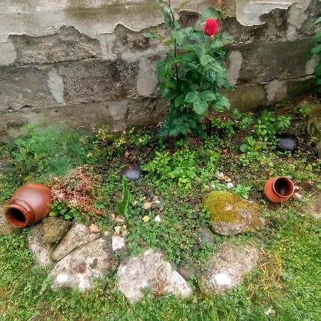 Kotva 2* Lozenets