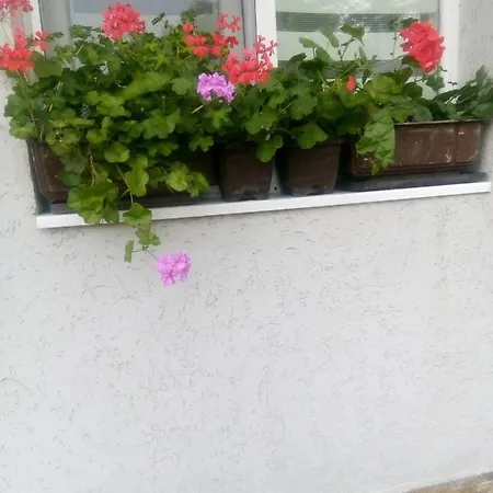 Kotva Guest house Lozenets