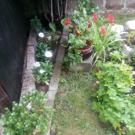 Guest house Kotva 2*