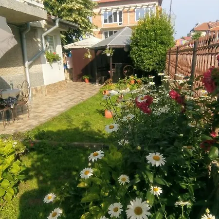 Kotva Guest house 2*