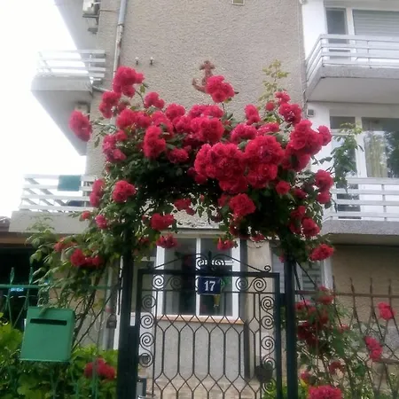 Guest house Kotva