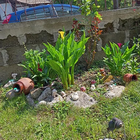 Kotva 2* Lozenets