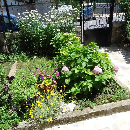 Kotva Guest house Lozenets