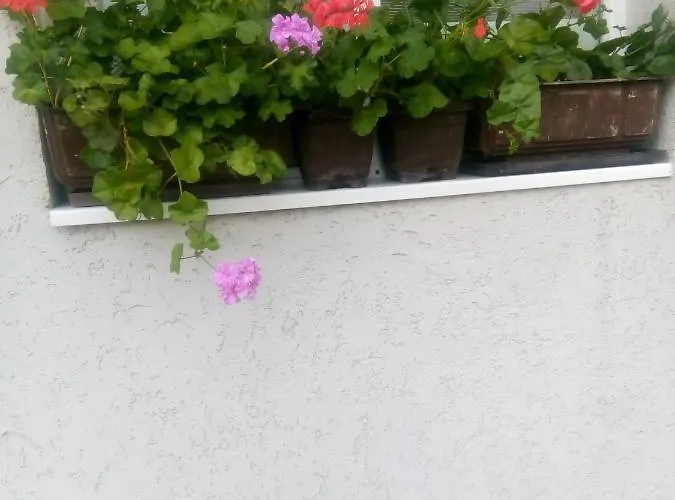 Kotva Vendégház Lozenec