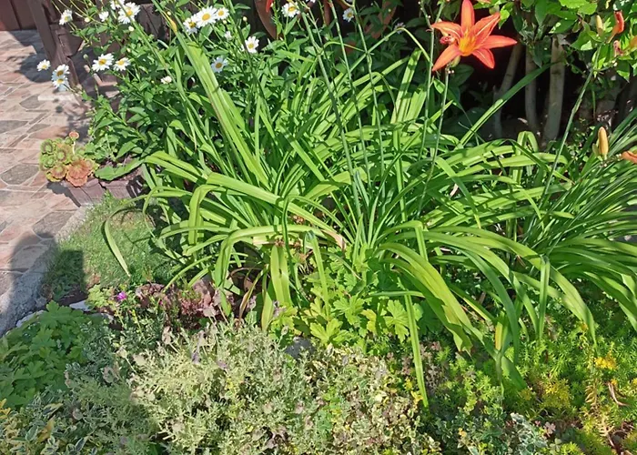 Vendégház Kotva 2*