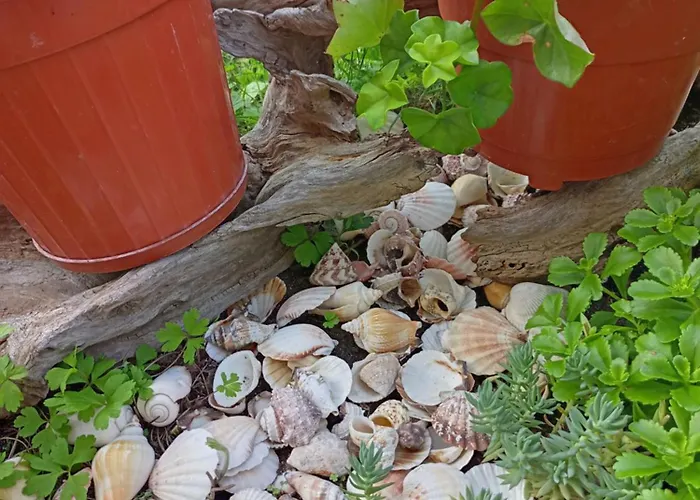 Kotva Vendégház Lozenec