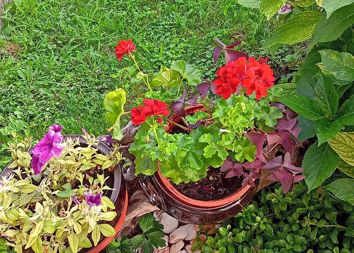 Vendégház Kotva Lozenec